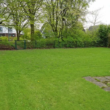 Blockhaus Mit Grossem Grundstueck Und Zaun *