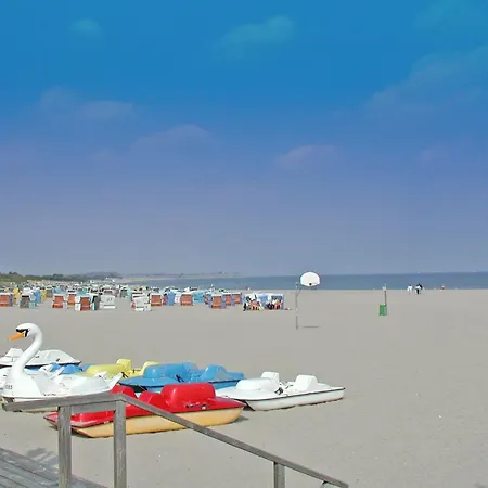 Blockhaus Mit Grossem Grundstueck Und Zaun *